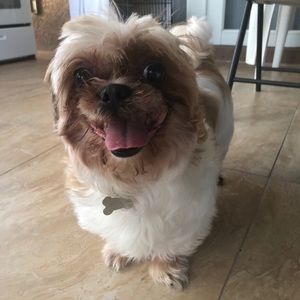 Meet your Posher, Bryan